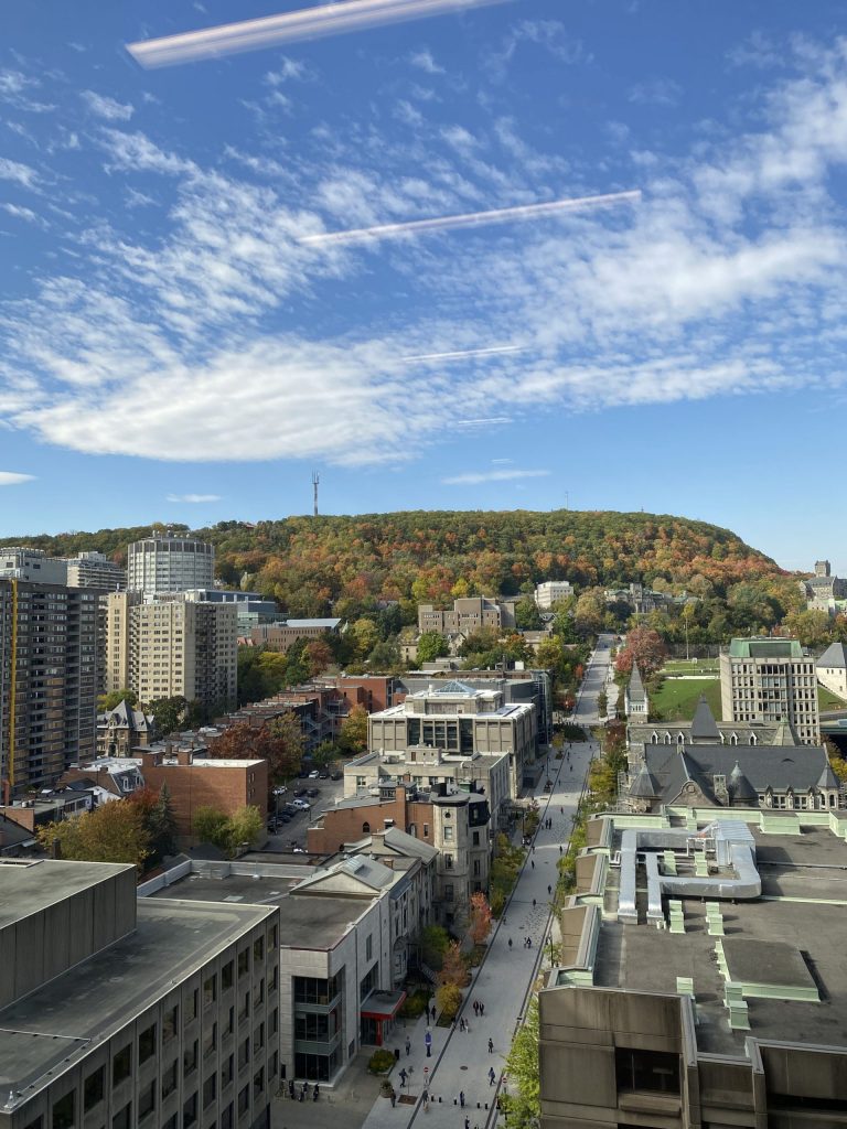 Sol tarafta Bronfman ve Mcgill. Mount Royal'e bir bakış