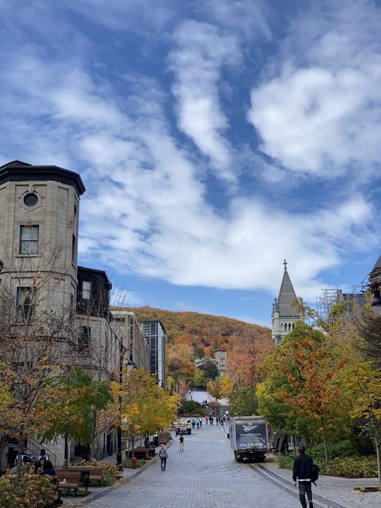 Peel Sokağından Mount Royal'e bir bakış. Sonbahar